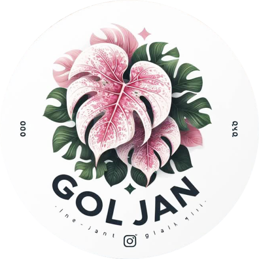 گل و گیاه گل جان